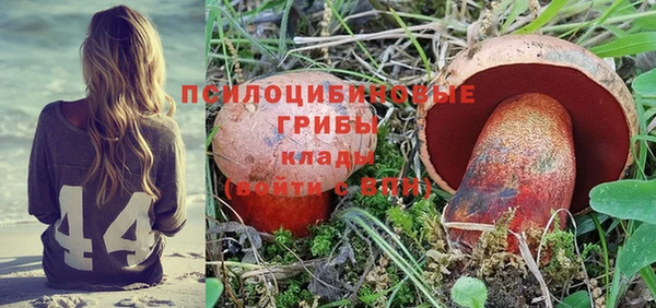 прущий лед Абдулино