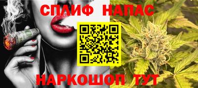 прущие крисы Тара
