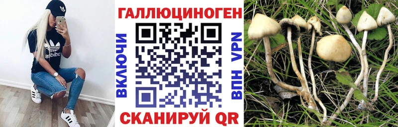 где можно купить наркотик  kraken зеркало  Псилоцибиновые грибы Psilocybe  Саратов 