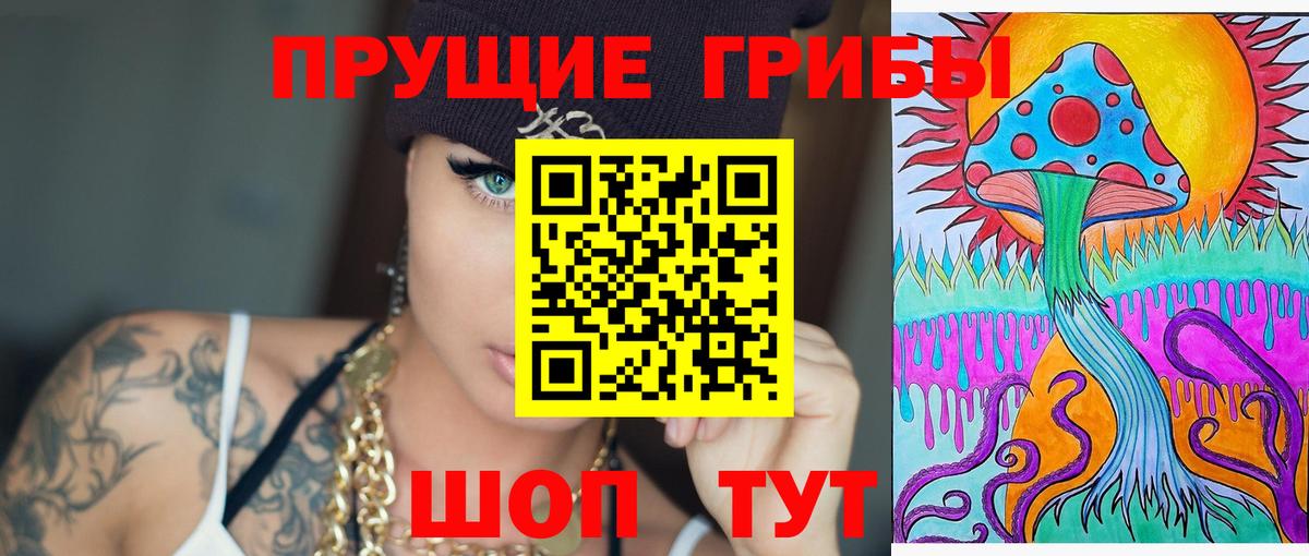 Саратов  Псилоцибиновые грибы Psilocybe  Вход с VPN 